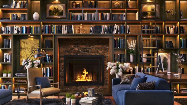 Professional Library Renovation